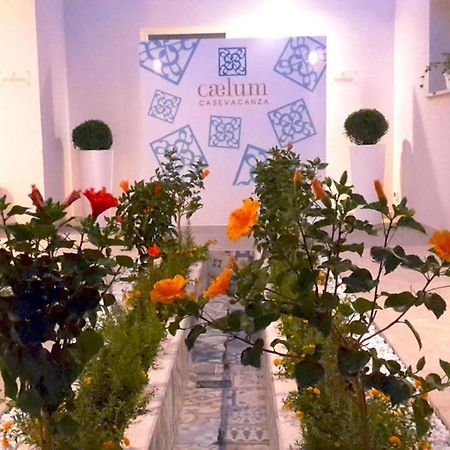 Caelum Case Vacanza Trapani Bagian luar foto