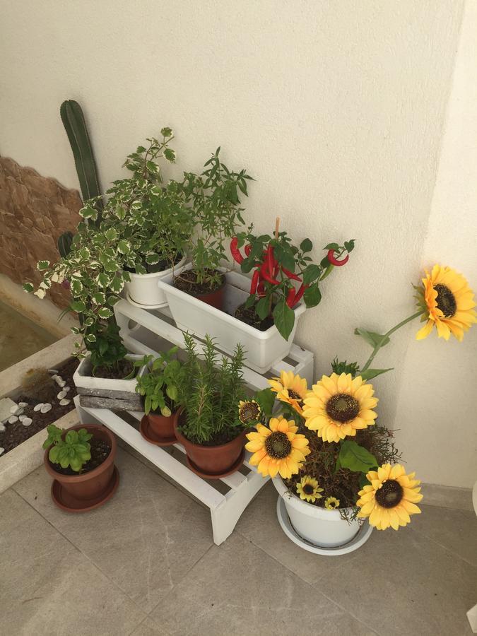 Caelum Case Vacanza Trapani Bagian luar foto