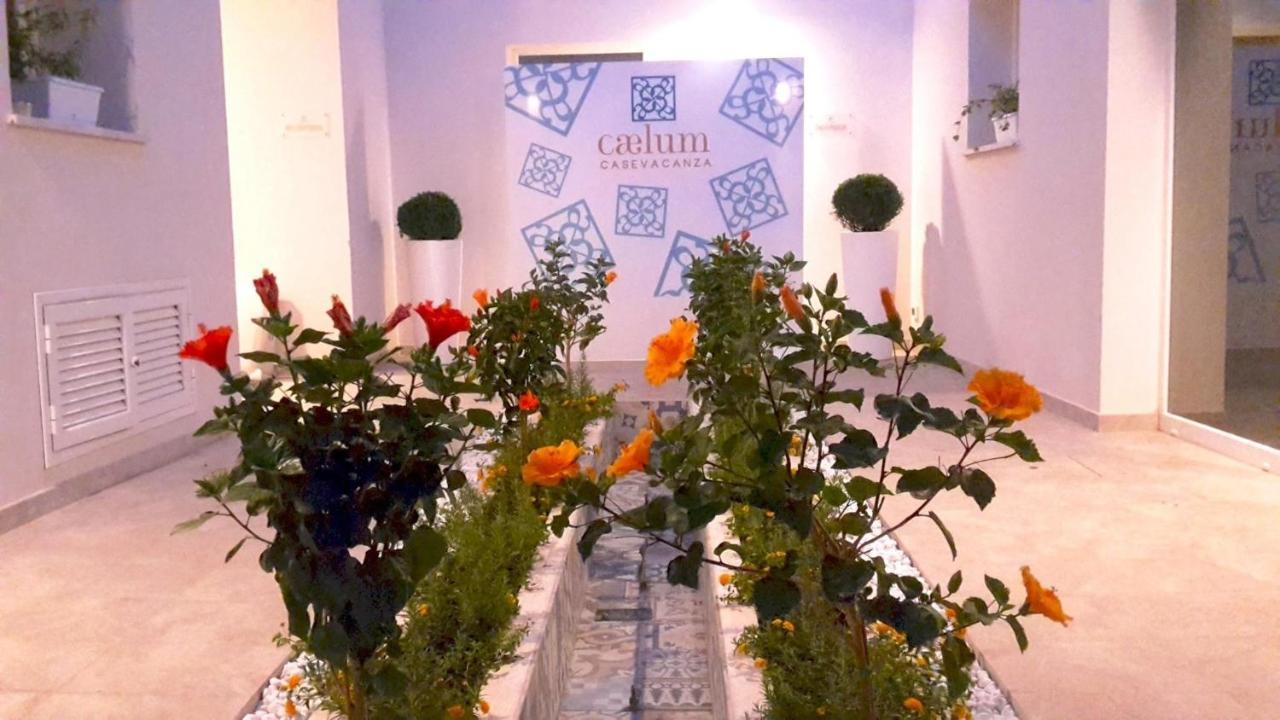 Caelum Case Vacanza Trapani Bagian luar foto